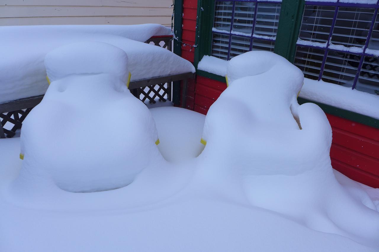ホテル Mountain Thyme Getaway Barkerville エクステリア 写真